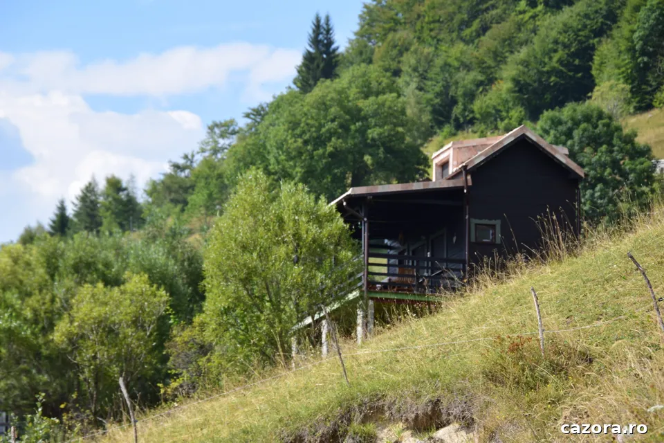 Măgura Rustic Tiny House, Moieciu
