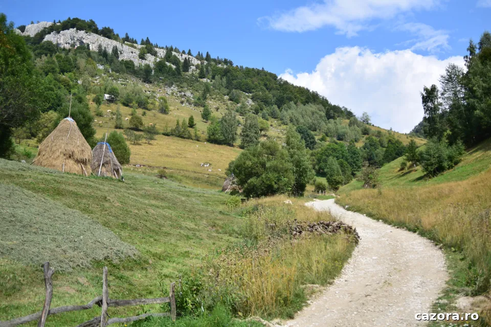 Măgura Rustic Tiny House, Moieciu