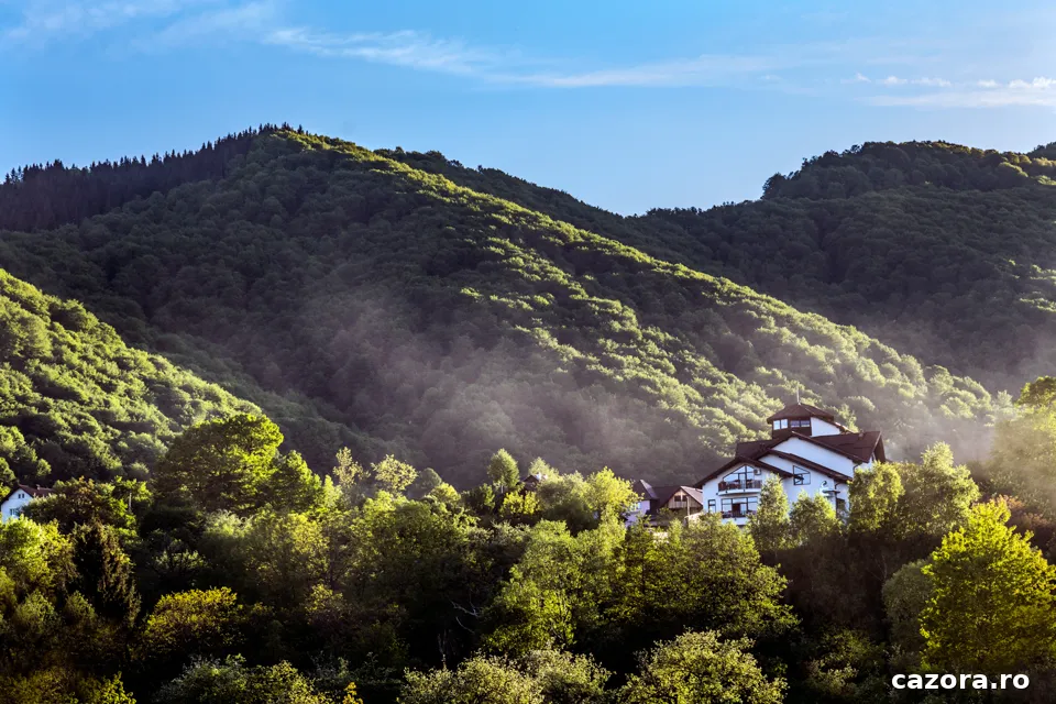 Transylvanian Inn, Predeluț